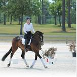 Schooling Dressage – Collection
