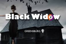 Black Widow Escape Room