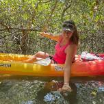 Mangroves & Manatees Kayaking Tour