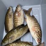 Susquehanna River Bass Fishing Tournament