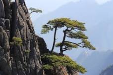Huangshan Walking Tour: Discover the Wonders and Legends of the City