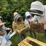 July Great Plains Master Beekeeper’s Open Apiary Day