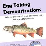 Egg Taking Demonstration