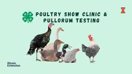 Poultry Show Clinic and Pullorum Testing