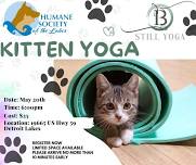 Kitten Yoga with Humane Society of the Lakes