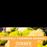 Summer Waddell Farmers Market 6/2