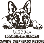 Annual Reunion — Saving Shepherds Rescue