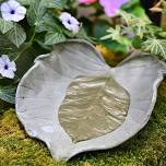 Cement Leaf Castings for the Garden