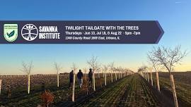 Twilight Tailgate with the Trees