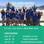 Summer Camp Ages 8-10