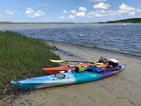 Cat Island - Wando River Paddle and Fossil Hunt