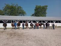 Jefferson County 4-H Horse Camp