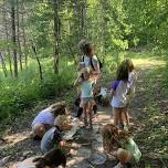 Little Explorers: Into the Woods