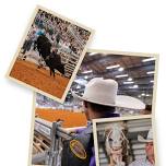 11th Annual Arcadia Fall Rodeo