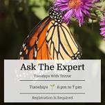 Ask The Expert- Tuesdays With Trevor Smith (Online)