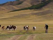 Cycling in Mongolia - Naadam Festival