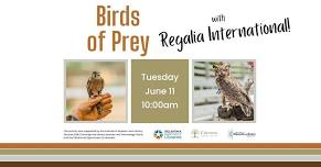 Birds of Prey by Regalia International