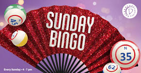 Drag Queen Bingo – Every Sunday