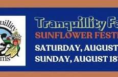 Tranquillity Farms Sunflower Festival