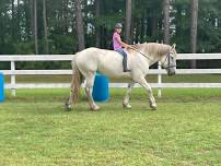 Levels 1+2 Walk/Trot/Canter riding days