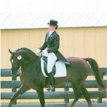 Classical Principles for Every Horse and Every Rider