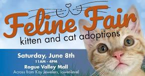 Feline Fair | June 8