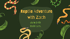 Reptile Adventure with Zach at MCPL
