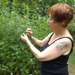 Traditional Herbalism- June 2024