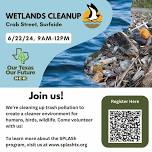 SPLASh Wetlands Cleanup