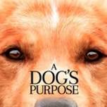 Movie Matinee - A Dog's Purpose