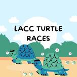 LACC Turtle Races