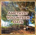 Volunteer Day — Amethyst Retreat Center