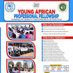 Young African Professional Fellowship - 2024