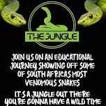 The Jungle - Encounter with creatures