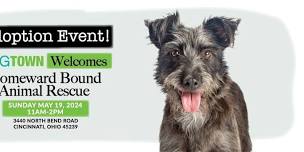 Adoption Event Hosted by Dogtown