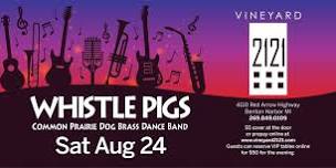 Whistle Pigs at Vinyard 2121