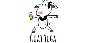 Bend and Brew at Lake Wylie Brewery after Goat Yoga