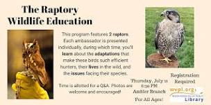 The Raptory: Wildlife Education