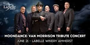 Moondance: Van Morrison Tribute Concert at LaBelle Winery Amherst