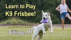 Dog Frisbee Clinic |  Billings, Montana