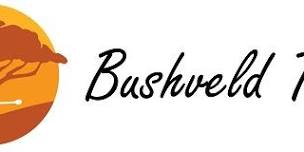 Bushveld Series #14