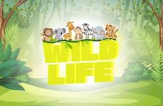 VBS: Wild Life!