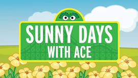 Sunny Days with ACE