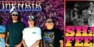 Grateful Dead Tribute by Cubensis and Phish Tribute & Jam Band Rock by Shaky Feelin’