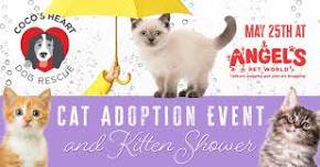 Cat Adoption Event- Angel's Pet World  — Coco's Heart Dog Rescue