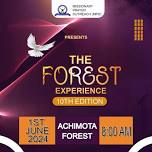 The Forest Experience -  10th Edition
