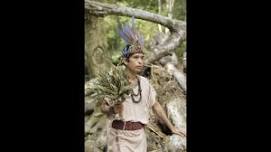 Peru, Amazon Jungle - (14 Days) Ayahuasca, San Pedro, 5-Meo DMT: Extremely Healing, Powerful & Expansive