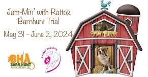 Jam-Min' with Rattos Barn Hunt Trial