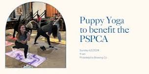 Puppy Yoga to Benefit the Pennsylvania SPCA