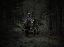 Wagon Ride to a Haunted Woods Walk + Ghoulish Halloween Dinner